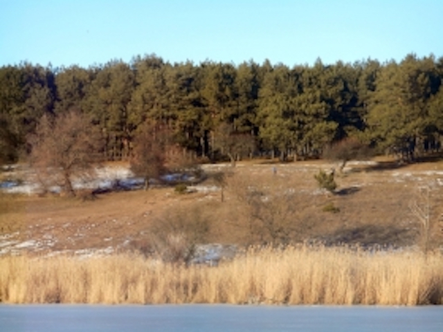 Свежие новости: Сельсовет на Николаевщине незаконно отдал земли «Ташкентского леса» под строительство, — прокуратура