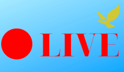 Свежие новости: Пряма трансляція позачергової 21-ї сесії Вознесенської міської ради