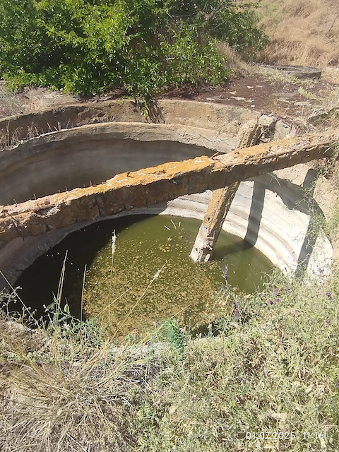 Свежие новости: На Миколаївщині зафіксували скид забруднених стоків у Південний Буг