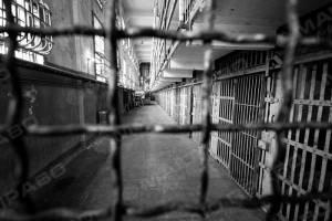 Свежие новости: В Николаеве задержан серийный грабитель