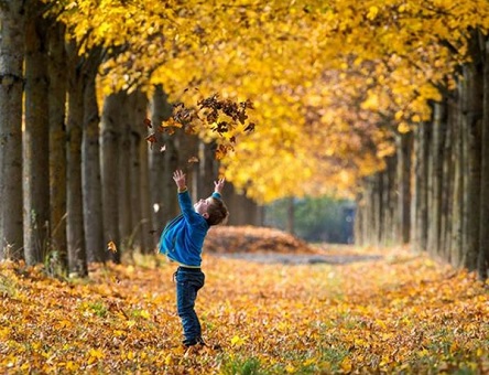 Свежие новости: Туман і температура до +24: якої погоди чекати українцям на цих вихідних