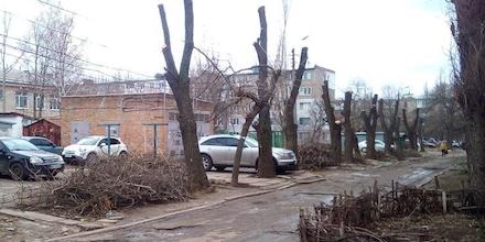 Свежие новости: В Николаеве на пни и деревья собираются потратить почти ₴8 млн