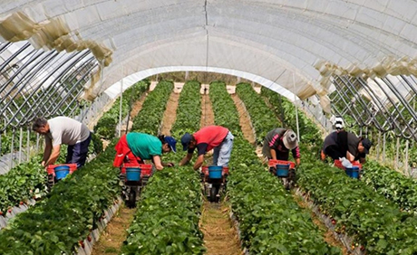 Свежие новости: Нацбанк считает, что рост экономики Украины тормозит трудовая миграция