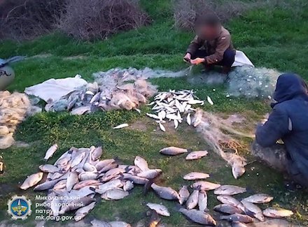 Свежие новости: На Николаевщине выявили браконьера, который выловил 70 килограммов рыбы