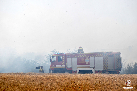 Свежие новости: На Миколаївщині горіло поле з пшеницею