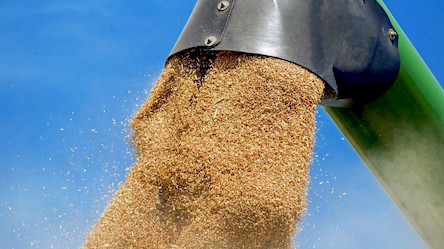 Свежие новости: «Зерновая сделка» продлена на 60 дней, подтвержден ее пакетный характер, – замглавы МИД рф