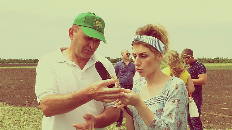 Свежие новости: «Скажите, пожалуйста» : как аграрии под Николаевом «День поля» отмечали. ВИДЕО