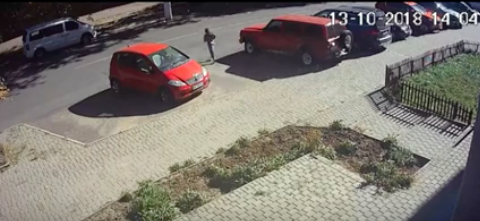 Свежие новости: ДТП в Николаеве: водитель Volkswagen совершил наезд на 10-летнюю девочку