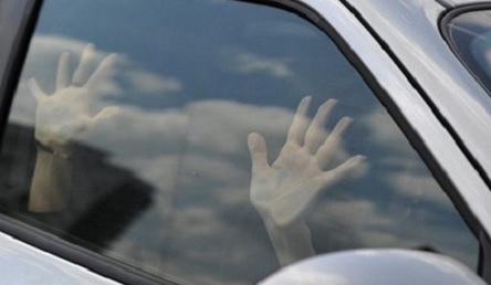 Свежие новости: Начал душить и пытался изнасиловать: на Николаевщине водитель напал на попутчицу