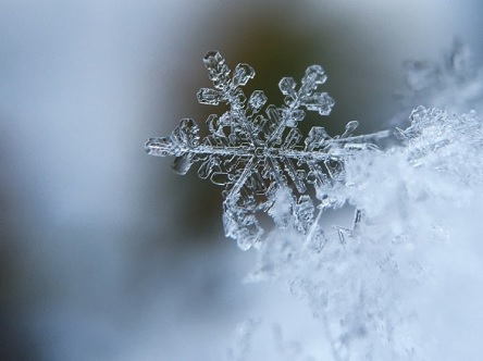 Свежие новости: От 11° мороза до 9° тепла: прогноз погоды на сегодня