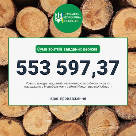 Свежие новости: В Новобузькому районі 