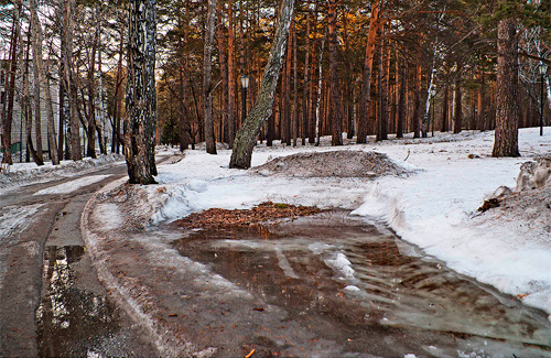 Свежие новости: В субботу в Украине обещают весеннюю погоду