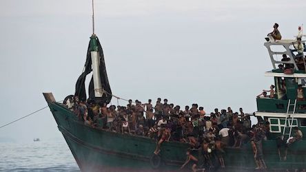 Свежие новости: В Италии по подозрению в нелегальной перевозке мигрантов задержали около 40 украинцев