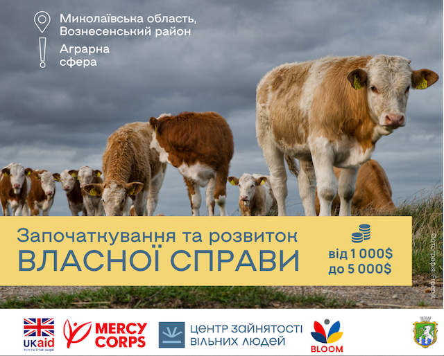 Фото новости: ВПО та мешканці Вознесенського району можуть отримати до 5000 доларів на розвиток власної справи Свежие новости: ВПО та мешканці Вознесенського району можуть отримати до 5000 доларів на розвиток власної справи