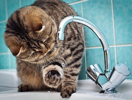 Свежие новости: Временное отключение водоснабжения в Вознесенске!