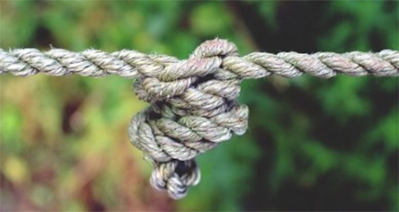 Свежие новости: Смерть ребенка на Полтавщине: 7-летняя девочка запуталась в веревках и погибла