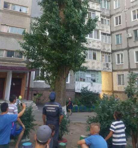 Свежие новости: В Николаеве спасатели сняли с дерева мальчика, который залез за мячом и не мог слезть