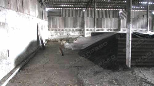 Свежие новости: На Николаевщине полицейские нашли преступников, которые вынесли со склада фермы более двух тонн семян подсолнечника