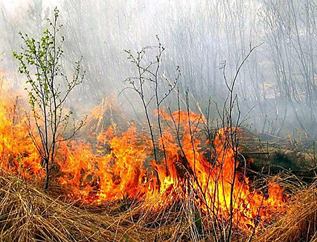 Свежие новости: В 2018 году на Николаевщине зарегистрировали 729 пожаров