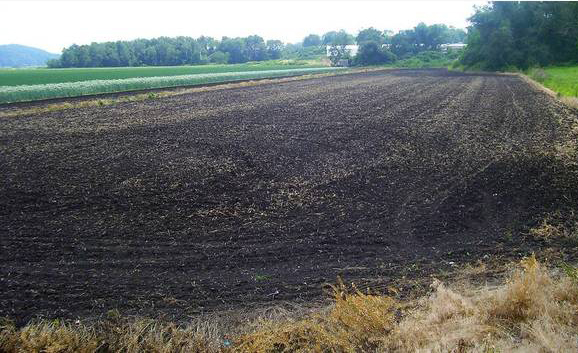 Свежие новости: На Николаевщине фермер пять лет не платил аренду за землю, ее вернули в госсобственность