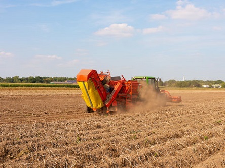 Свежие новости: Аграрии сообщили об угрозе срыва уборочной кампании из-за инициативы правительства ввести пошлину на дизтопливо