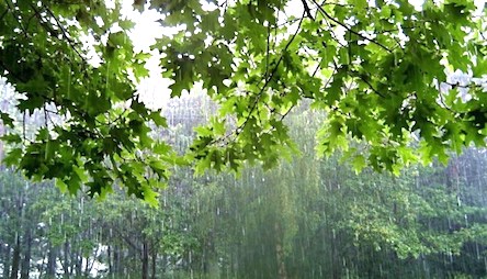 Свежие новости: В Украину идет циклон Ксеркс с ливнями и мокрым снегом