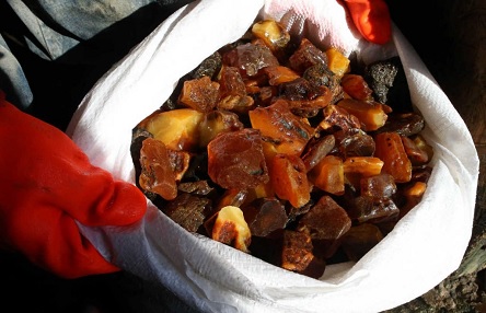 Свежие новости: У Польщі затримали двох українців за підозрою в контрабанді бурштину, вони представились працівниками спецслужб