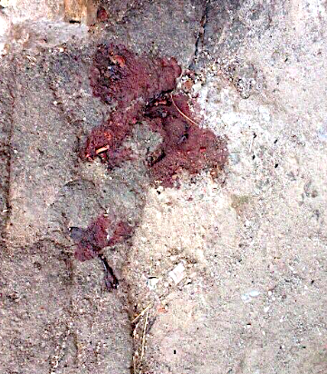 Свежие новости: В Николаеве из 6 этажа дома выпала женщина