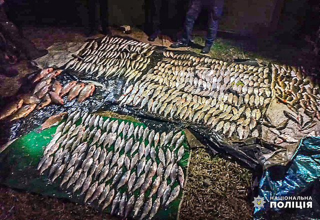 Свежие новости: У Миколаєві викрили браконьєрів із незаконним уловом на понад мільйон гривень