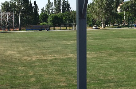 Свежие новости: Директор Центрального стадиона в Николаеве объяснил почему газон на поле за 25 миллионов снова высох и выгорел