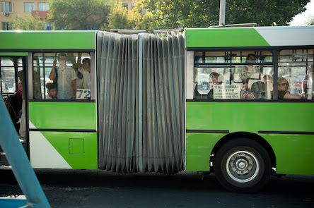 Свежие новости: Николаевец в Литве нелегально подрабатывал «маршрутчиком» и получал по 2,5 тысячи евро в день