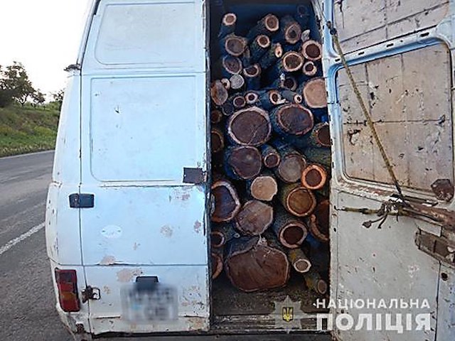Свежие новости: На Николаевщине полицейские задержали мужчину, который нелегально перевозил большое количество свежеспиленной древесины