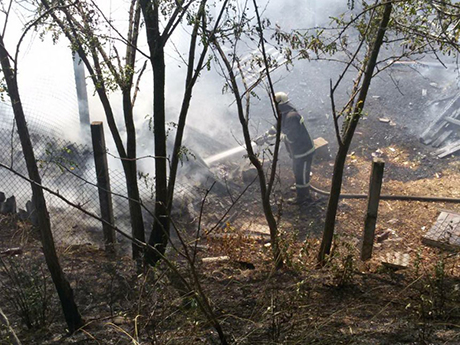 Свежие новости: На Николаевщине из-за масштабного пожара травы едва не загорелся жилой сектор
