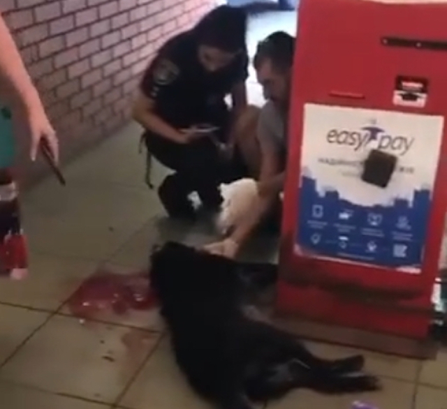 Фото новости: В Николаеве средь бела дня на рынке застрелили из ружья собаку Свежие новости: В Николаеве средь бела дня на рынке застрелили из ружья собаку