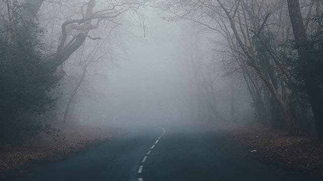 Свежие новости: В Украину идут туманы и ночные морозы