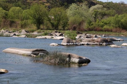 Свежие новости: В Южном Буге падает уровень воды: «Энергоатом» просит власти Николаевщины провести очистку малых рек