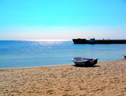 Свежие новости: В Николаевской ОГА создали управление по вопросам туризма и курортов