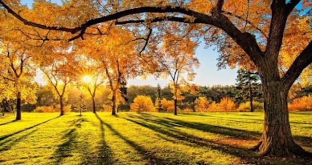 Свежие новости: Без осадков и почти везде ясно: прогноз погоды на выходные