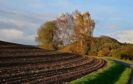 Свежие новости: В Украине стартуют аукционы по аренде земли