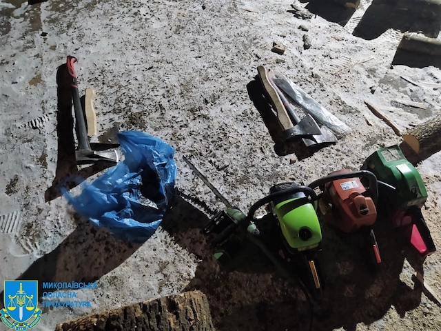 Свежие новости: В Николаеве 5 «черных лесорубов» срубили деревьев почти на 2 млн грн