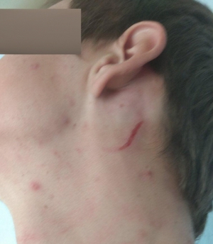 Свежие новости: В Николаеве водитель маршрутки держал парня, пока его избивали пассажиры