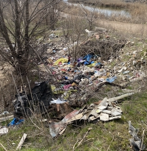 Свежие новости: Жители Николаева требуют убрать многолетнюю свалку