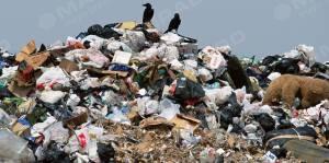 Свежие новости: Львовский мусор не приняли и в Синельниково