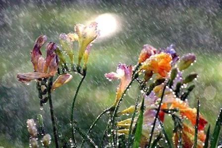 Свежие новости: В Украине ожидаются дожди с грозами