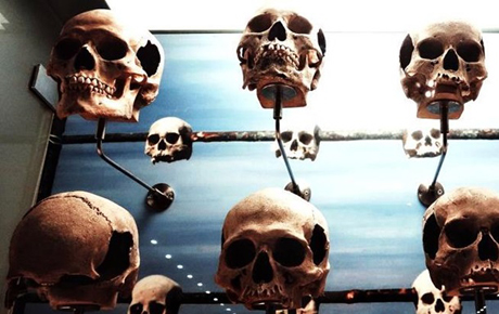 Свежие новости: Ученые назвали главные угрозы человечеству