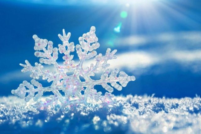 Свежие новости: У яких областях України сьогодні чекати зимової погоди