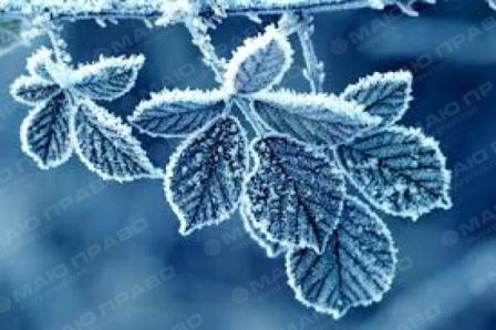 Свежие новости: В Украине ожидаются морозы до -27