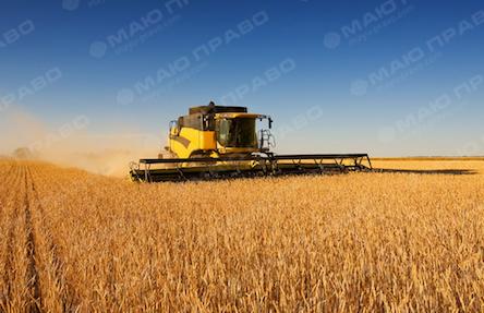 Свежие новости: Жатва-2017: урожайность пшеницы меньше, подсолнечник заражен вредителями