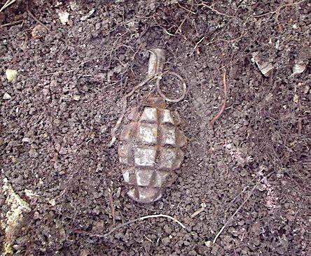 Свежие новости: ВИДЕО: В Киеве дети принесли в песочницу боевую гранату