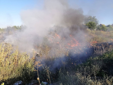 Свежие новости: Внаслідок необережного поводження з вогнем на Миколаївщині вигоріло понад 8 га сухостою